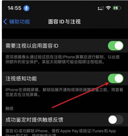 鹰手营子矿苹果14维修网点分享iPhone14注视感知功能有什么用 